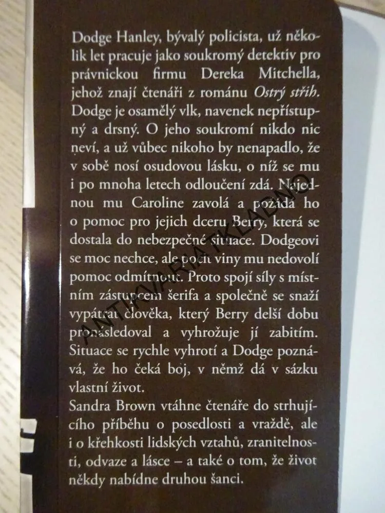 DRSNÝ CHLAP, SANDRA BROWN, **an