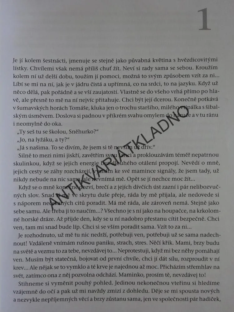 TAK TROCHU LESANA, VERONIKA HOTOVÁ RONCOVÁ, **an