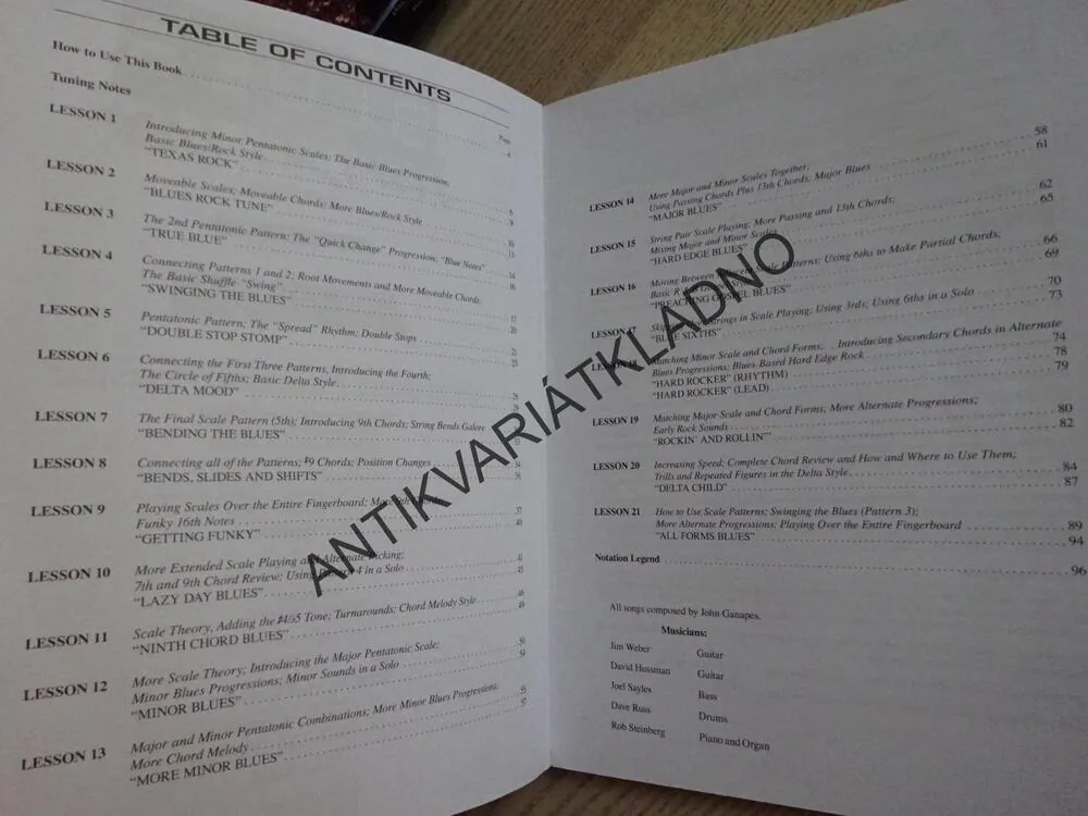 GUITAR CHORDS, CELKOVÝ PRŮVODCE UČENÍM NA BLUESOVOU KYTARU, KYTARA, AKORDY, ANGLICKY