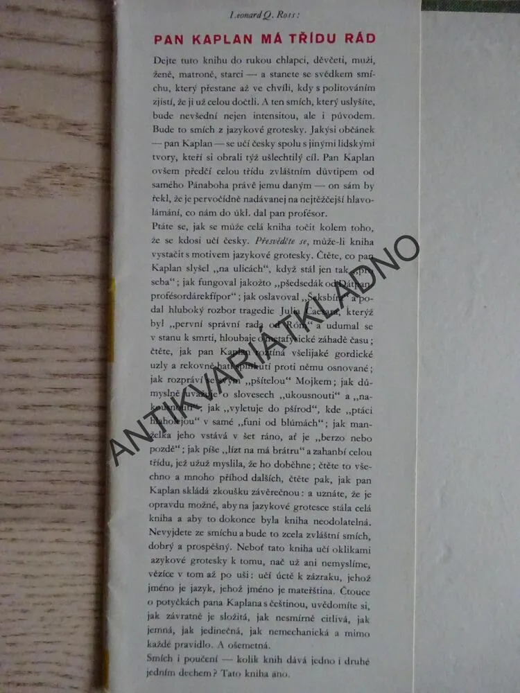 PAN KAPLAN MÁ TŘÍDU RÁD, Q. ROSS, **an