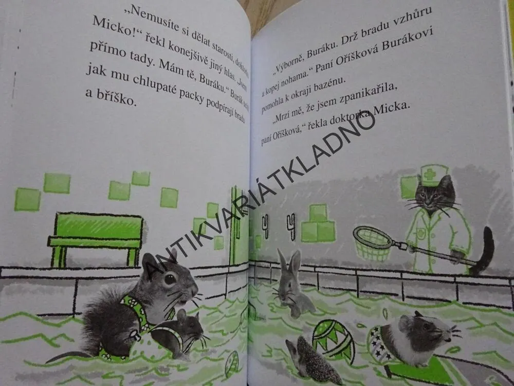 NEŠIKOVNÉ ŠTĚNĚ, DOKTORKA MICKA, JANE CLARKEOVÁ, **an