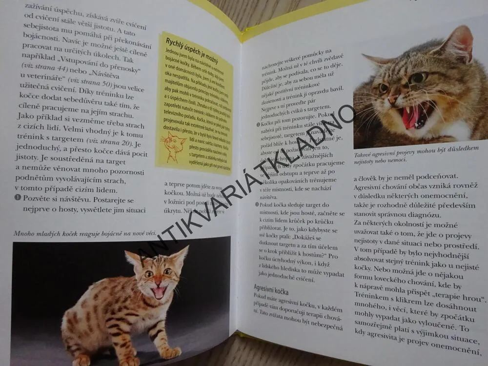 KLIKRTRÉNINK S KOČKOU, VIVIANE THEBYOVÁ, **an