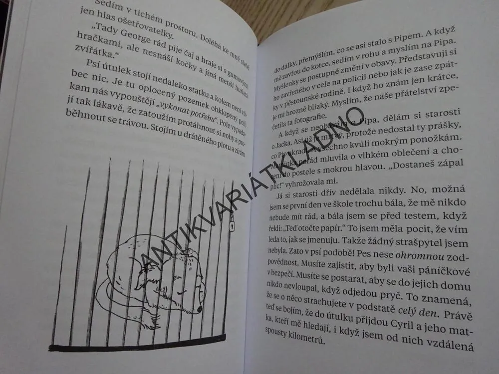 PSÍ HVĚZDA, LINDA COGGINOVÁ, **an