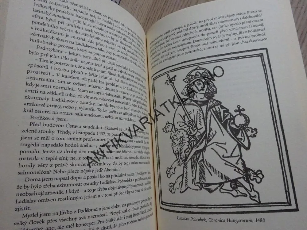 KRÁLOVRAŽDY ANEB ČESKÝ PITAVAL, MIROSLAV IVANOV, **an