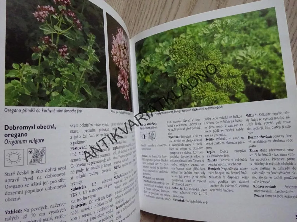 BYLINKY NA OKNĚ, NA BALKONĚ A NA ZAHRADĚ, CHRISTINE RECHTOVÁ, **an