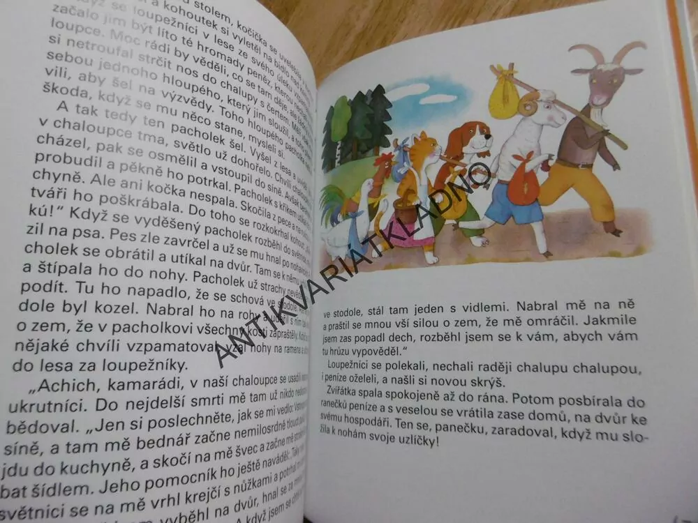 ČESKÁ ŘÍKADLA, PÍSNIČKY A POHÁDKY, MOTLOVÁ, VYBÍRALOVÁ, **an