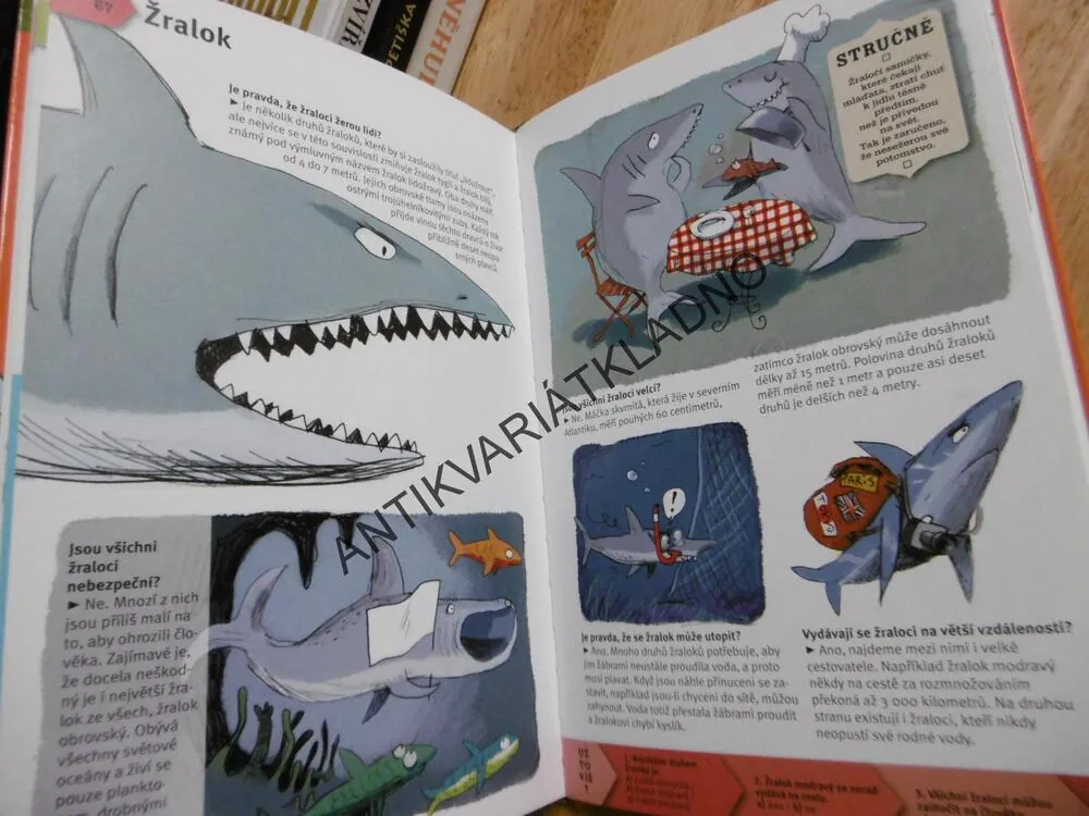 ZVÍŘATA, UŽ TO VÍM! LAROUSSE