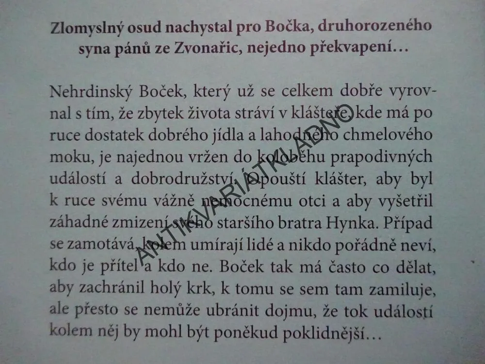 DRUHOU NOHOU V HROBĚ, DAVID NEDOMA, **an