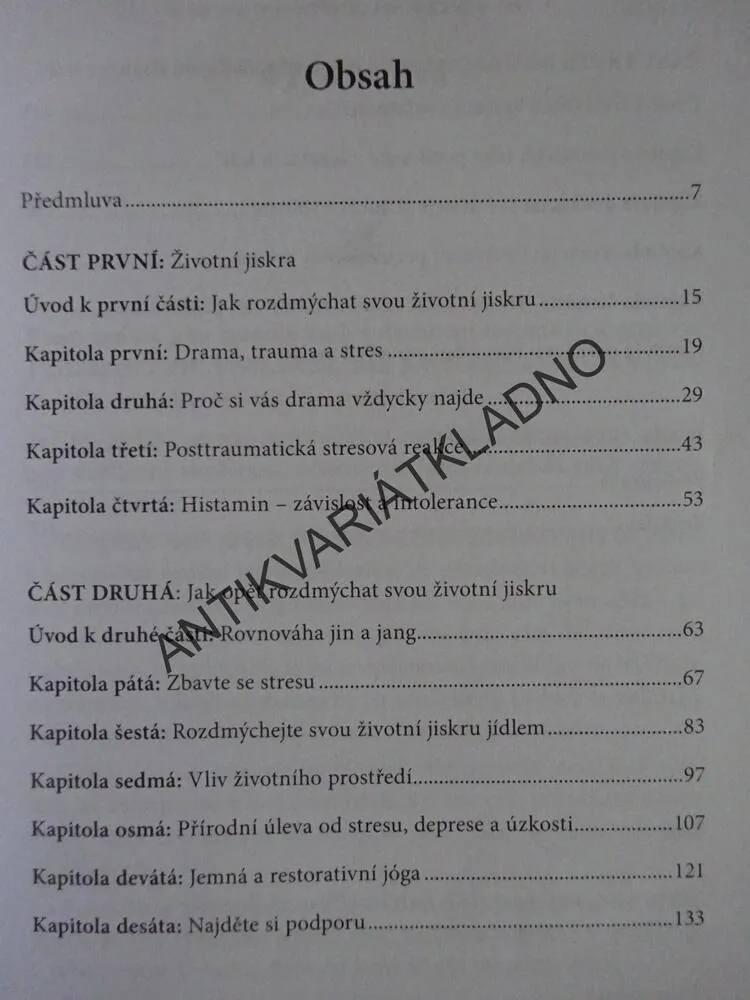 NENECHTE POHASNOUT SVOU JISKRU, DOREEN VIRTUE, **an