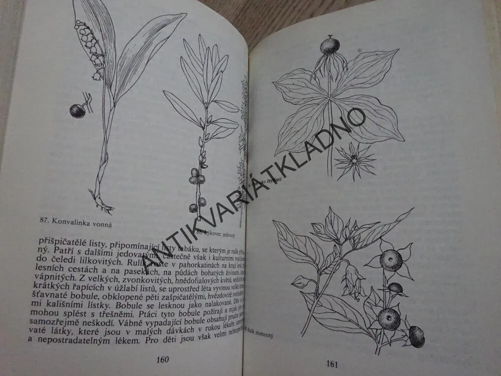 METODIKA SEZNAMOVÁNÍ DĚTÍ S PŘÍRODOU, **an