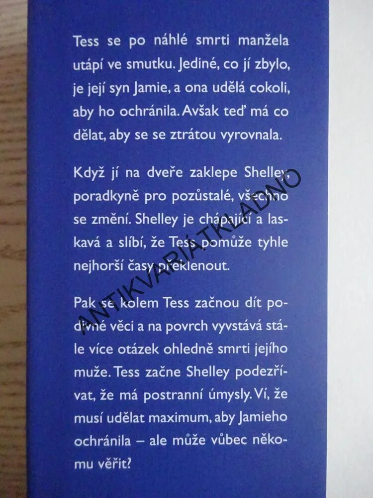 DOKONALÁ ZRADA, LAUREN NORTH, **an