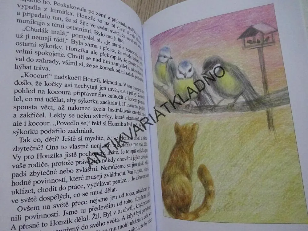 ANDĚLSKÉ POHÁDKY NEJEN PRO DĚTI, TEREZIE SCHLIKOVÁ, **an