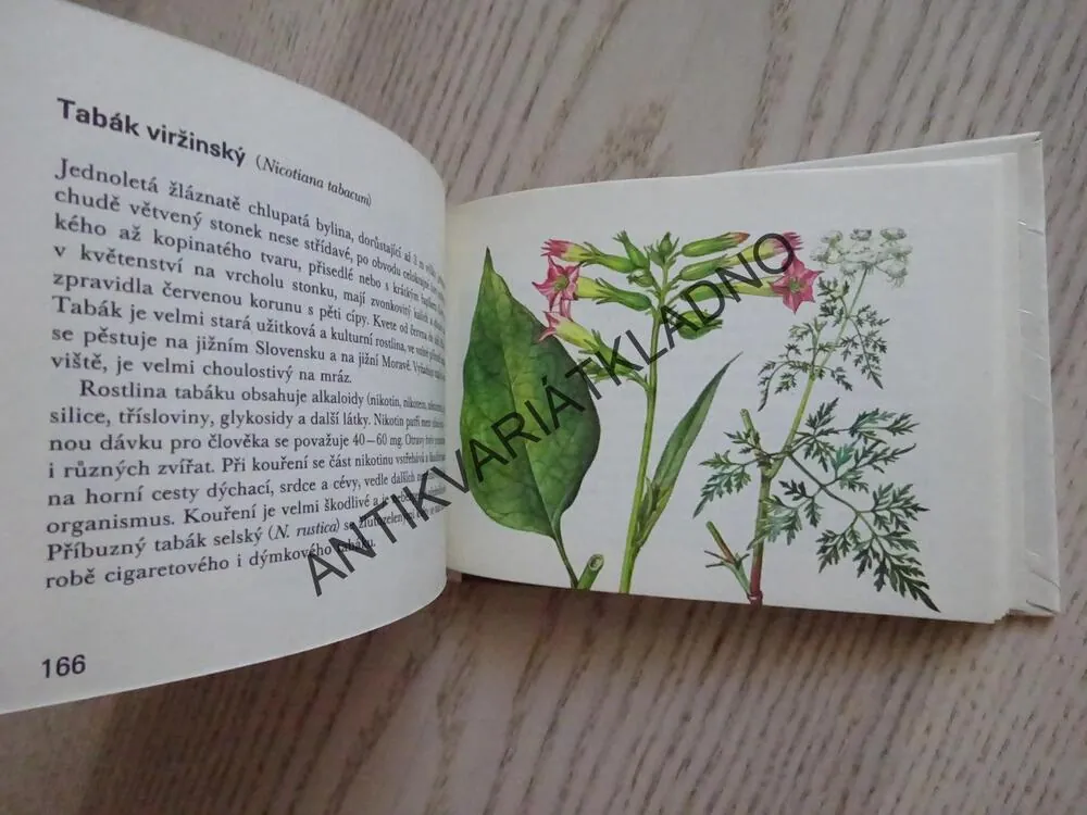OKO 58 - NAŠE JEDOVATÉ ROSTLINY, NOVÁK, HÍSEK, **an