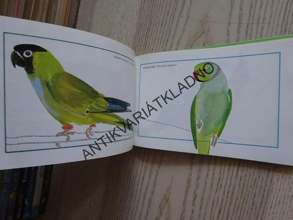 CIZOKRAJNÍ PTÁCI NA ZAHRADĚ, ZDENĚK VEGER, **an