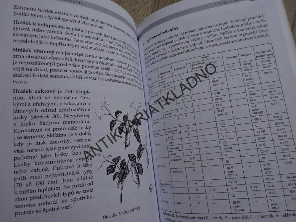 PĚSTUJEME ZELENINU, EVA PEKÁRKOVÁ, **an