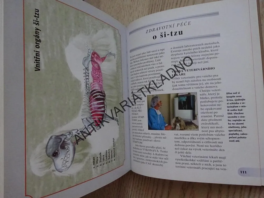 ŠI-TZU, JULIETTE CUNLIFFEOVÁ, **an