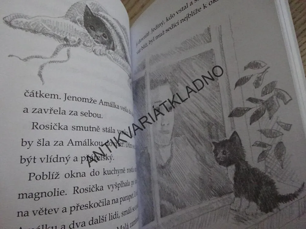 O ZTRACENÉ ROSIČCE, HOLLY WEBBOVÁ, **an