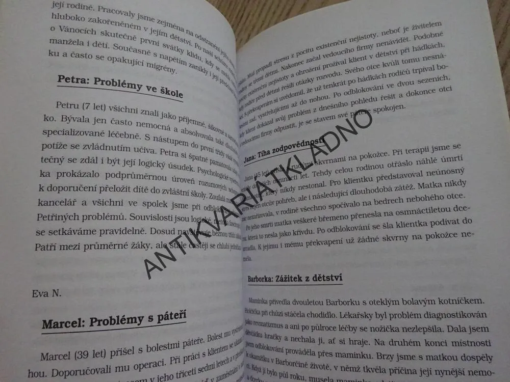 NEKONEČNÉ MOŽNOSTI, CAROL ANN HONTZ, **an