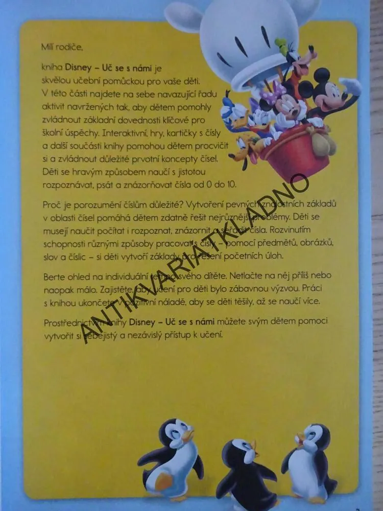 NEŽ PŮJDU DO ŠKOLY, UČ SE S NÁMI, UČÍME SE S DISNEY, MICKEY MOUSE, **an