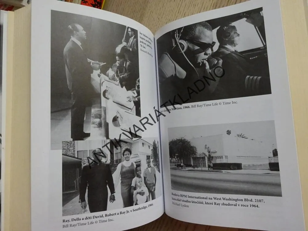 RAY CHARLES, MICHAEL LYDON, **an