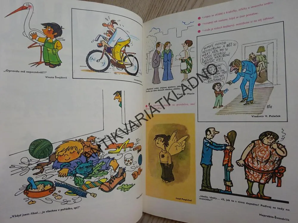 MAGAZÍN DIKOBRAZU