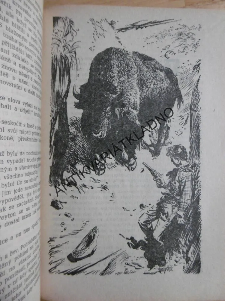 ZTRACENI V PUSTINĚ, FRANCIS BRET HARTE, BURIAN