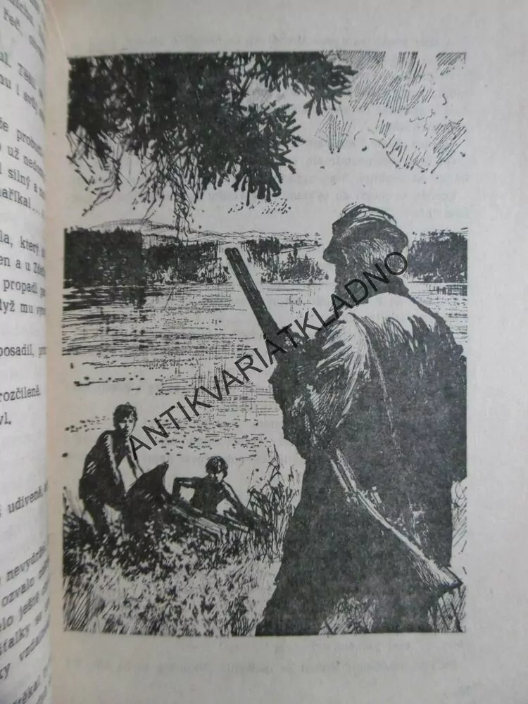 JEZERO NA VYSOČINĚ, J.K.ČEMUS, KRUM