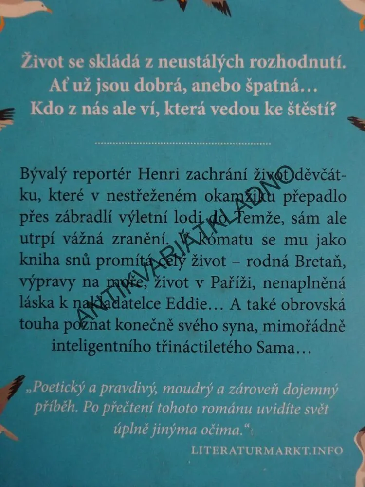 KNIHA SNŮ, NINA GEORGE, **an
