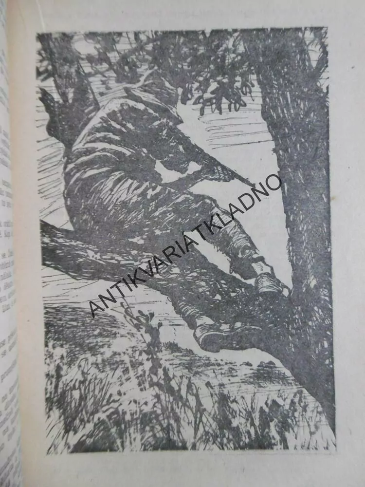 ČERNÝ VLK, KAREL FABIÁN