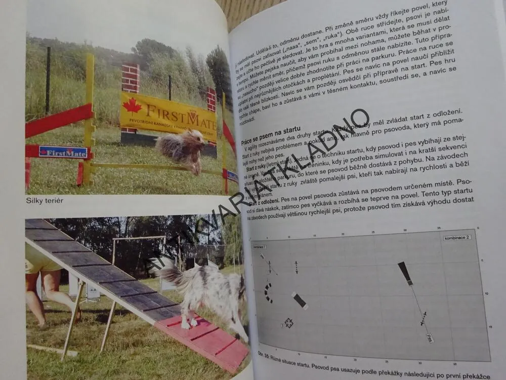 AGILITY, PRVNÍ KRŮČKY, DIVIŠOVÁ - VĚNOVÁNÍ S PODPISEM, PODEŠŤOVÁ, BENDA, **an