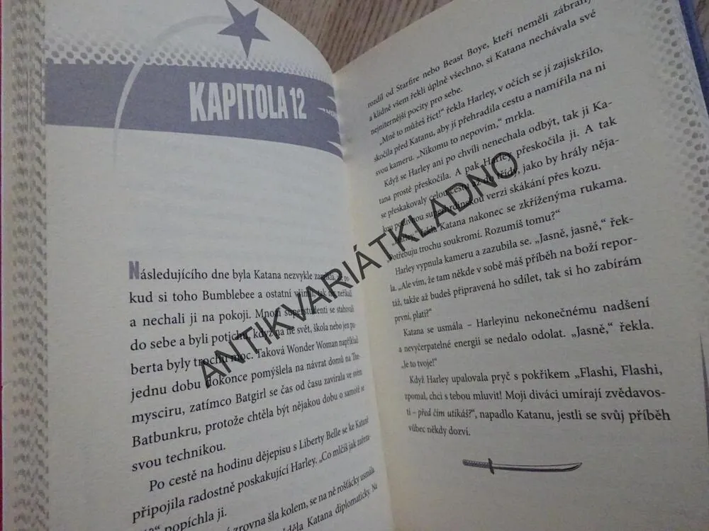 KATANA NA SUPER HERO HIGH, LISA YEEOVÁ, **an