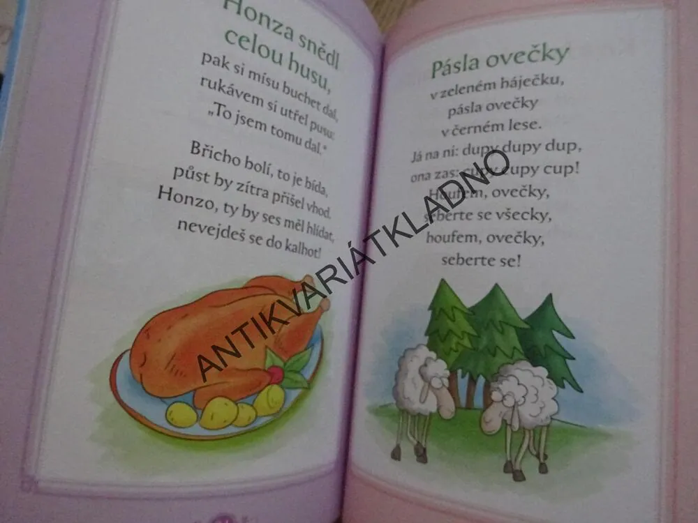 ČESKÉ ŘÍKANKY A BÁSNIČKY PRO KLUKY A HOLČIČKY, **an