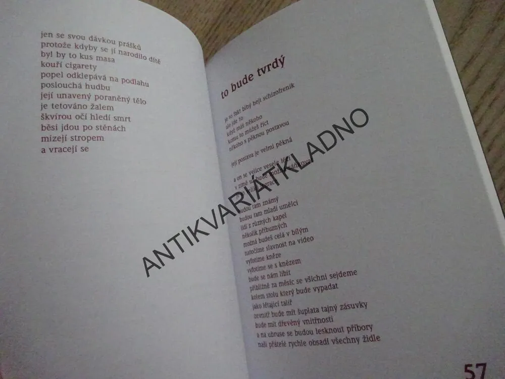 MILUJU TĚ K ZBLÁZNĚNÍ, JÁCHYM TOPOL, **an