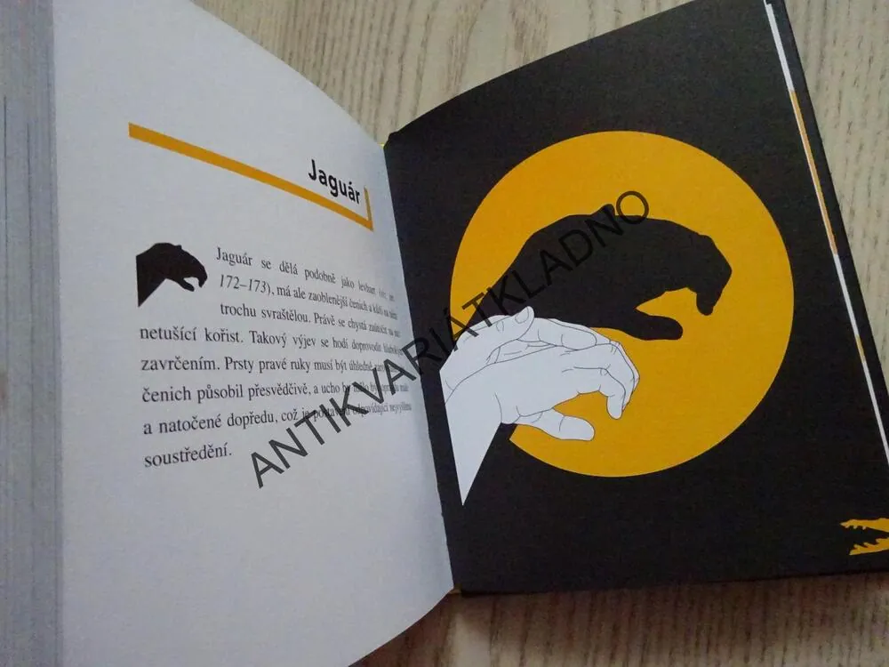 STÍNOHRA, 75 STÍNOVÝCH ZVÍŘÁTEK, SOPHIE COLLINS, **an