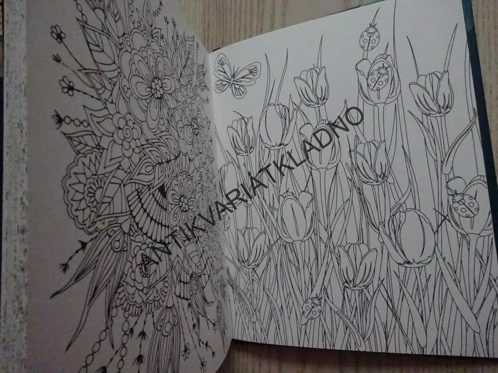 LET YOUR DREAMS BE YOUR WINGS, ANTISTRESOVÉ VYMALOVÁNKY, PROTISTRESOVÉ OMALOVÁNKY PRO DOSPĚLÉ, **an
