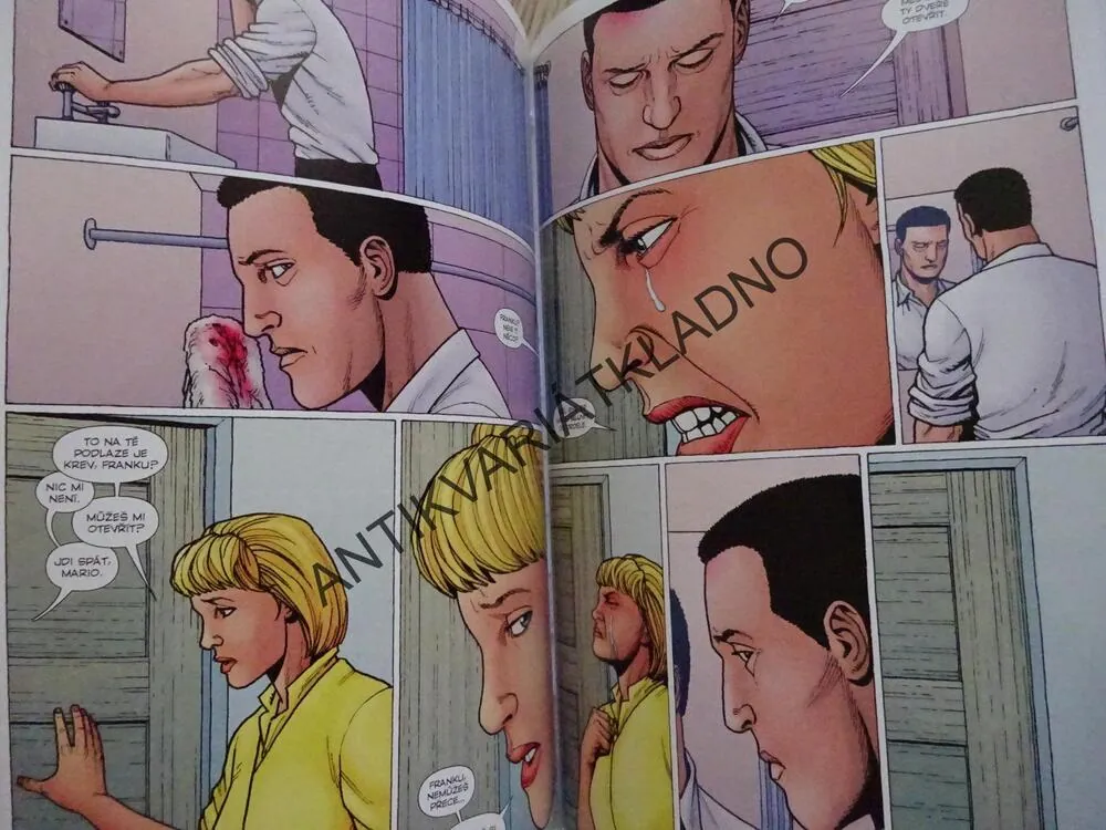 PUNISHER MAX: FRANK, KOMIKS, **an