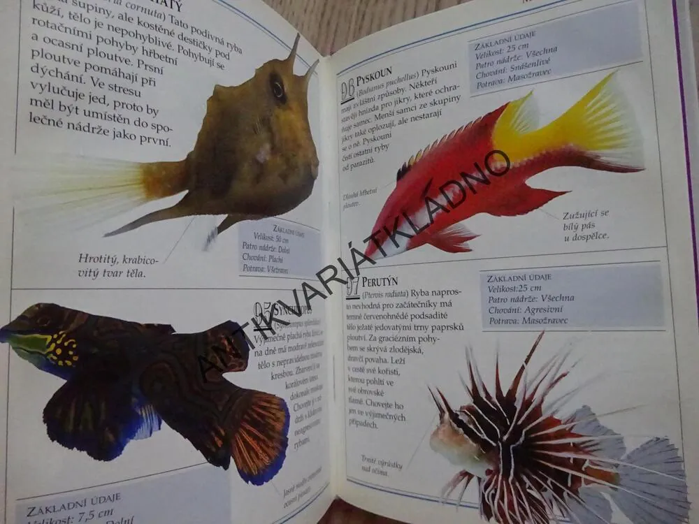 AKVARIJNÍ RYBY, 101 PRAKTICKÝCH RAD, **an