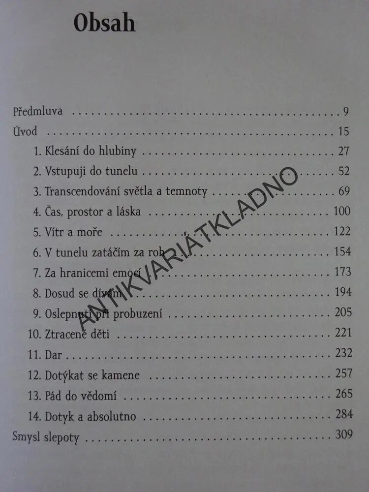 POUŤ DO ŘÍŠE SLEPOTY, DENÍKY PÁDU DO VĚDOMÍ, JOHN M. HULL, **an
