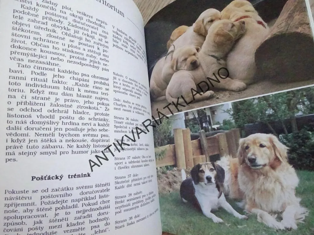 ROZUMÍM SI SE SVÝM PSEM?, YVONNE KEJCZOVÁ, **an