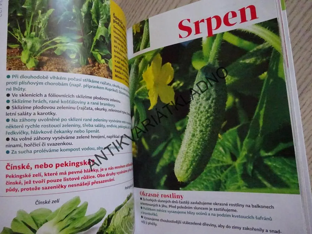 ZAHRÁDKÁŘŮV ROK, MĚSÍC PO MĚSÍCI, **an