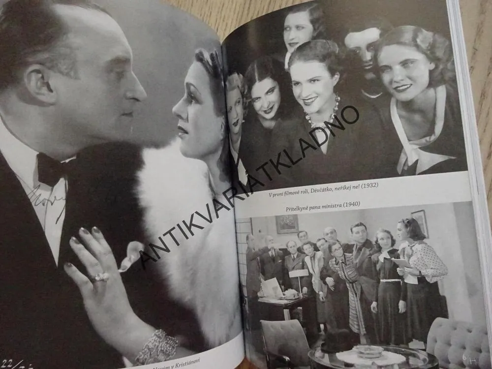 DNESKA UŽ SE TOMU SMĚJU, ADINA MANDLOVÁ, **an