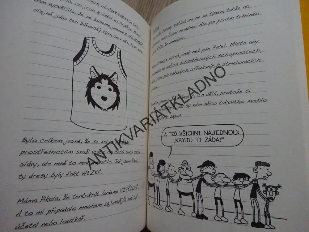 DENÍK MALÉHO POSEROUTKY, 16, VELKÁ ŠANCE, JEFF KINNEY, **an