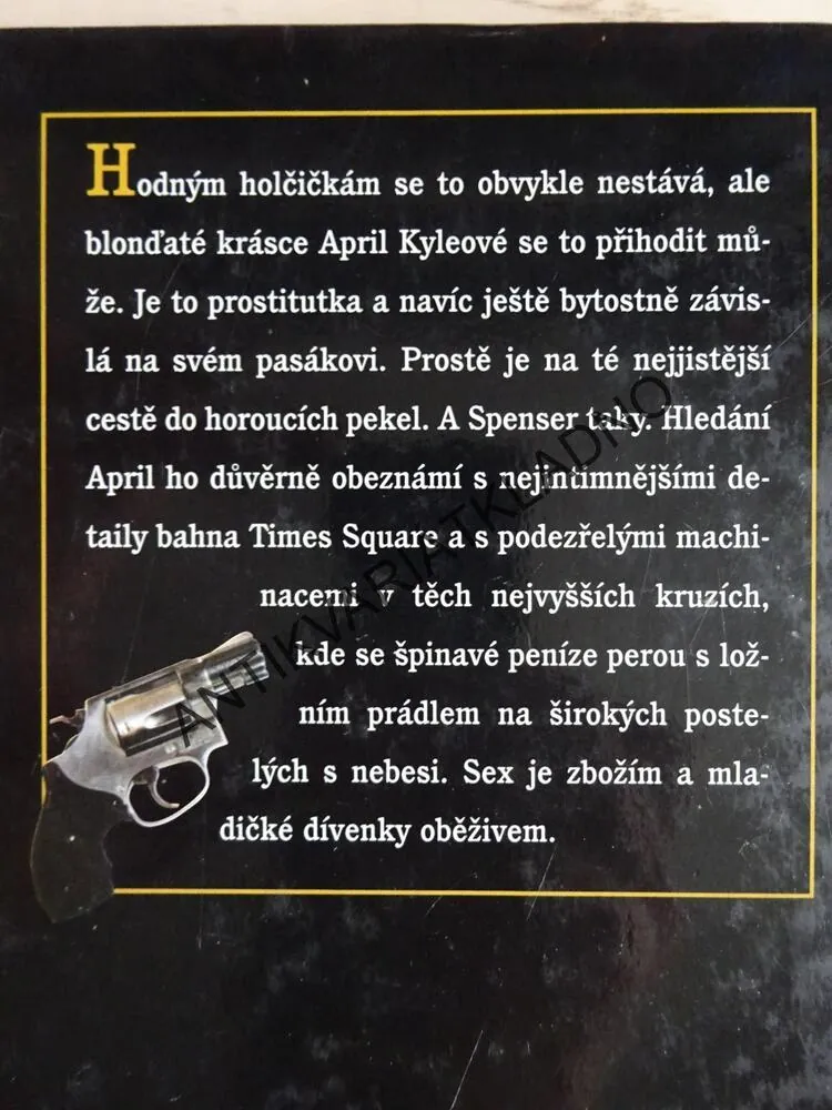 SLOUŽÍME SVÝM PÁNŮM, ROBERT B. PARKER, **an
