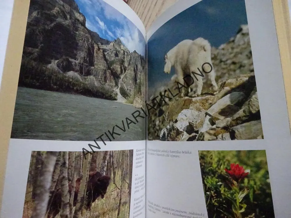 NAHANNI, BOB J. MORAVEC, **an