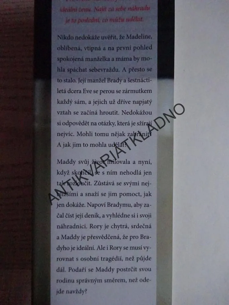 MILOVALA JSEM ŽIVOT, ABBY FABIASCHI, **an