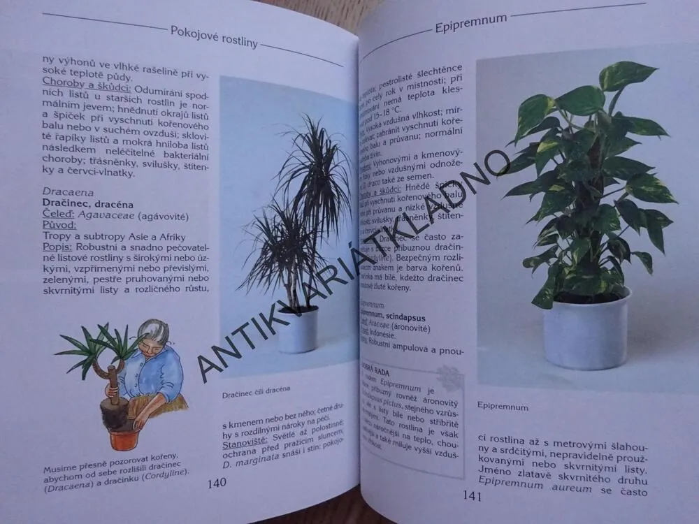 BABIČČINY POKOJOVÉ ROSTLINY, SIGRID HEUEROVÁ, **an
