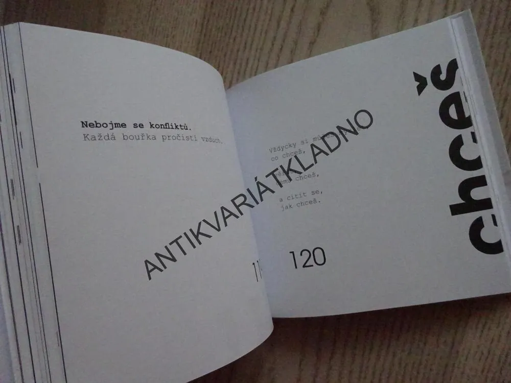 MALÉ VELKÉ PRAVDY, JAN MENDĚL, DAVID TOEGEL, **an