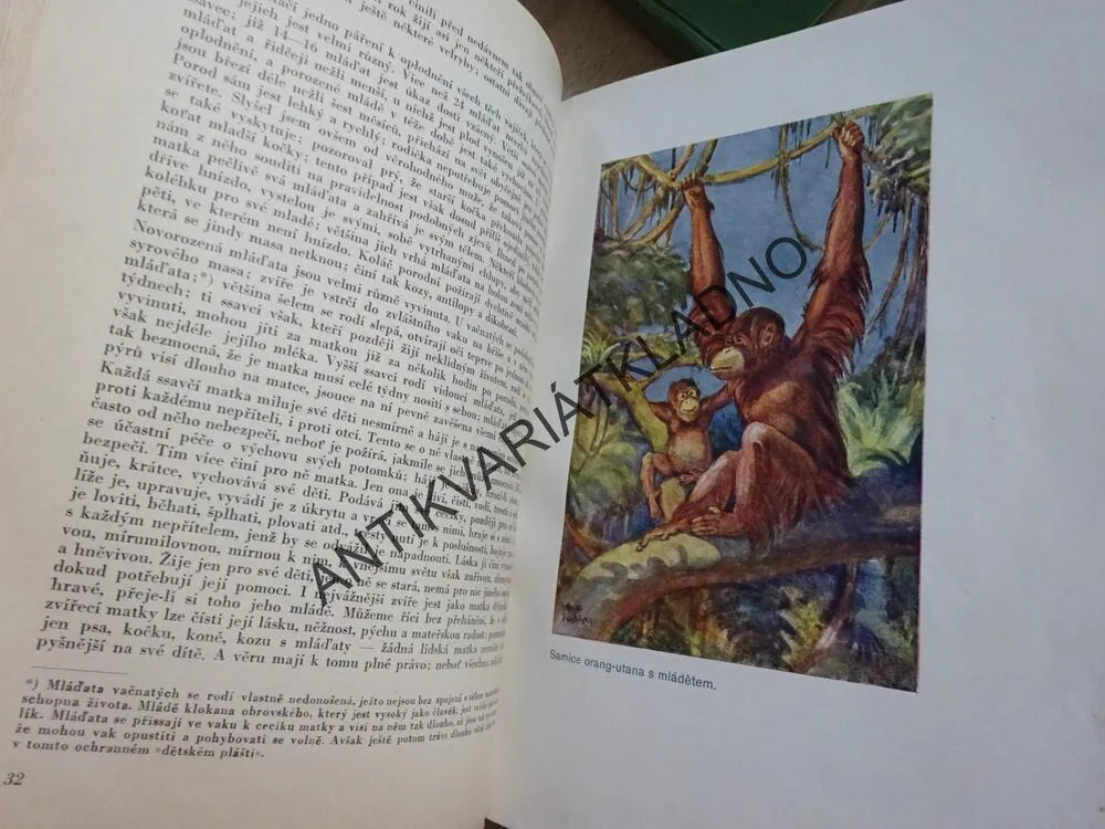 BREHM, BREHMŮV ŽIVOT ZVÍŘAT 1-4, **an