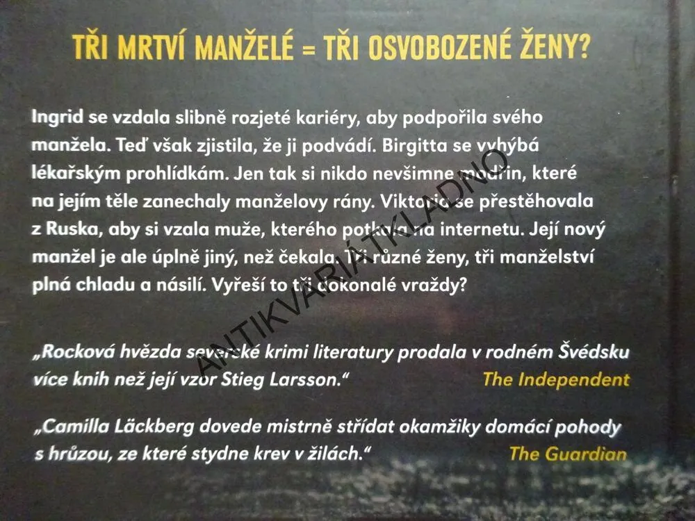 ŽENY BEZ SLITOVÁNÍ, CAMILLA LÄCKBERG, **an