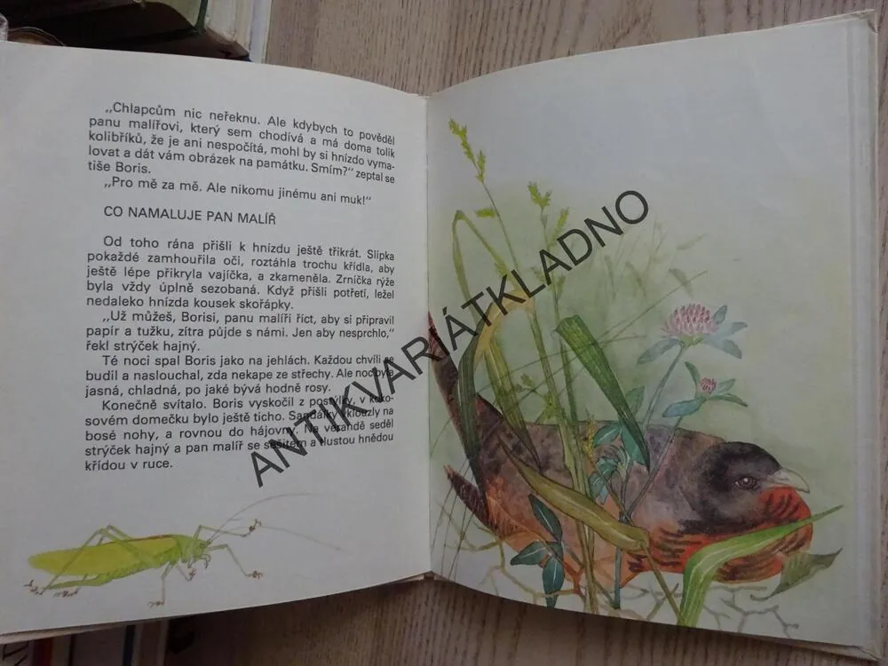 O SÝKORCE Z KOKOSOVÉHO DOMEČKU, MAŠA HAĹAMOVÁ, **an